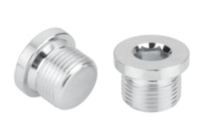 Screw plugs with collar and hexagon socket  DIN 908